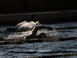 Photos Saison 2016-2017 &raquo; 24h de natation de Villemomble